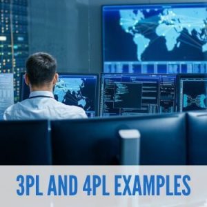 3PL and 4PL Examples